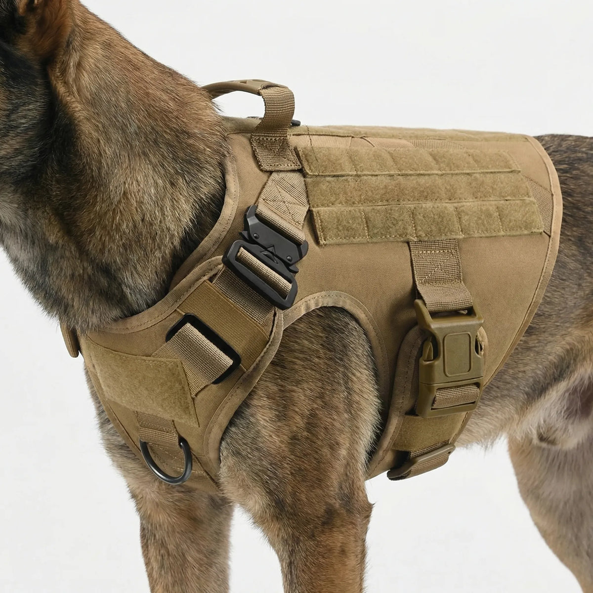 Pettorina tattica per cani regolabile con aggancio anteriore antitrazione