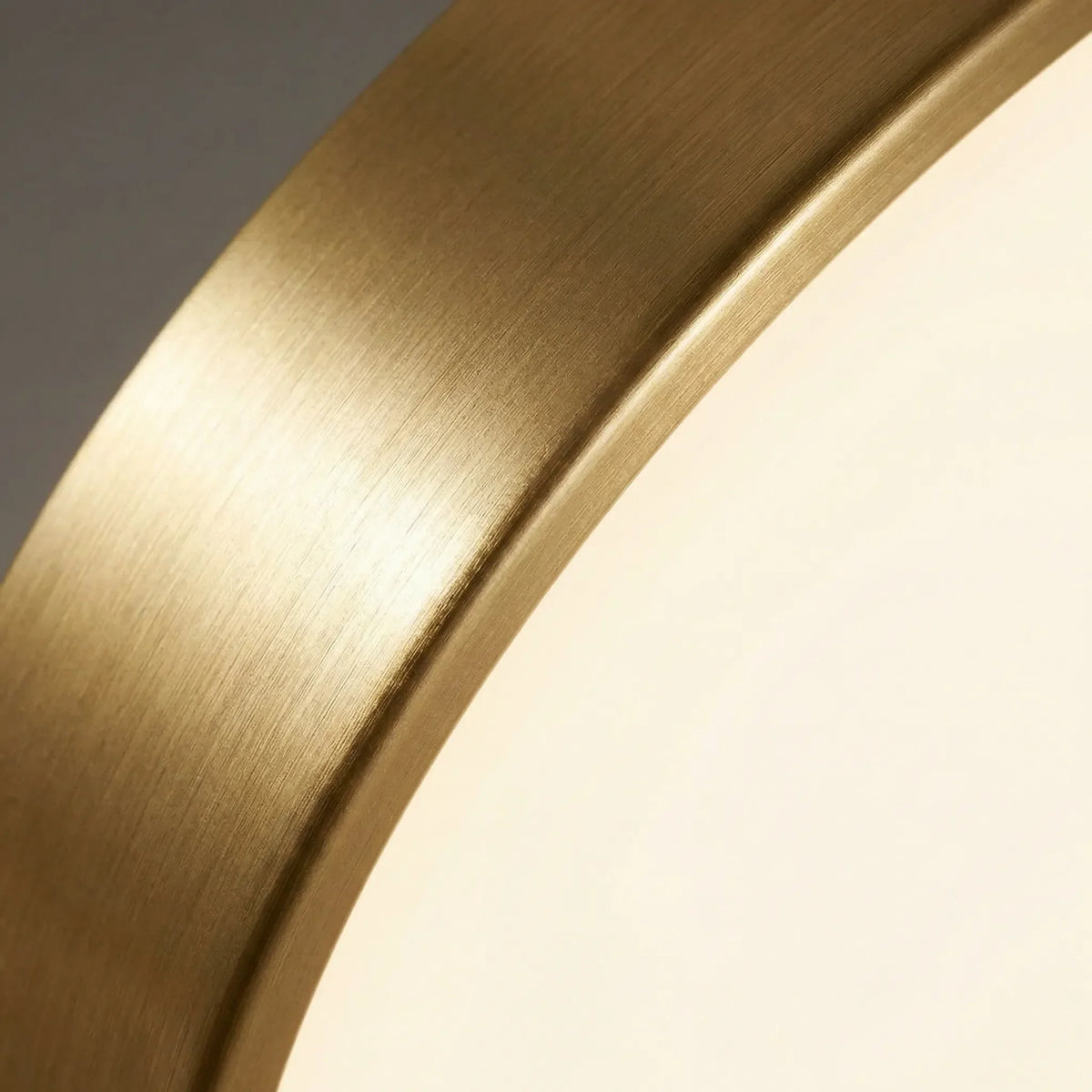 Luce a Soffitto LED Rotonda Montaggio Flush