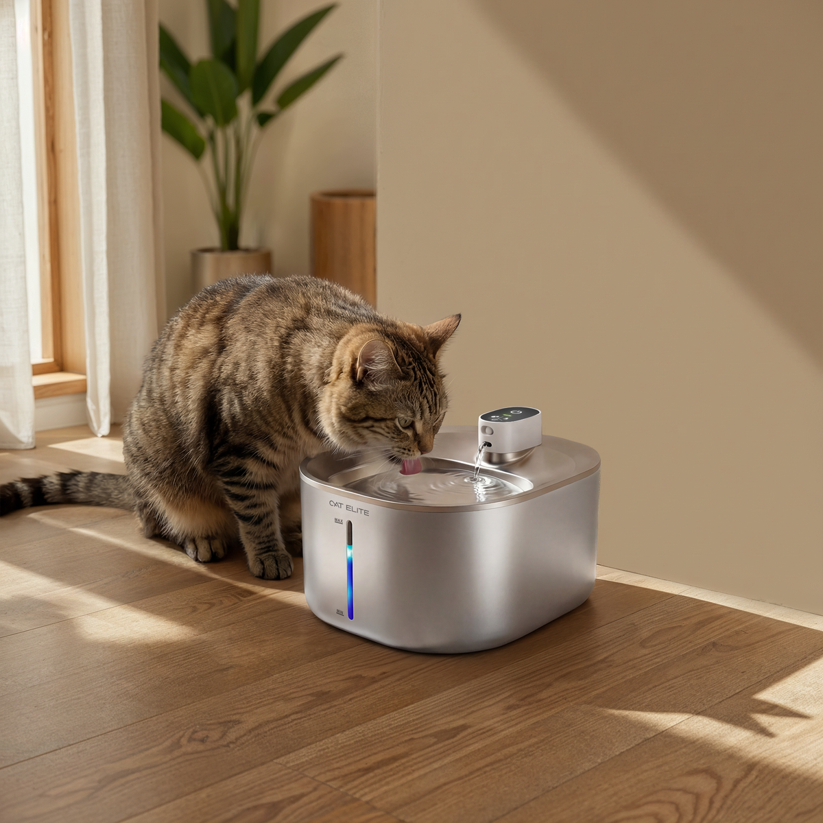 Fontanella per gatti senza fili con acqua filtrata
