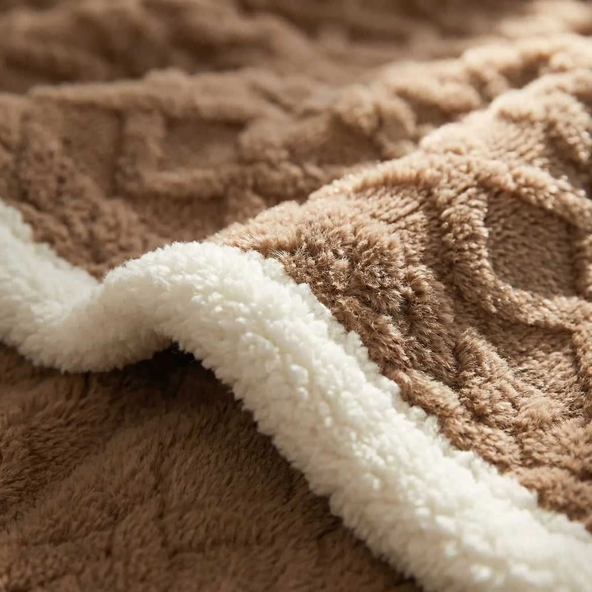 Coperta Invernale Spessa Doppio Lato Pelosa