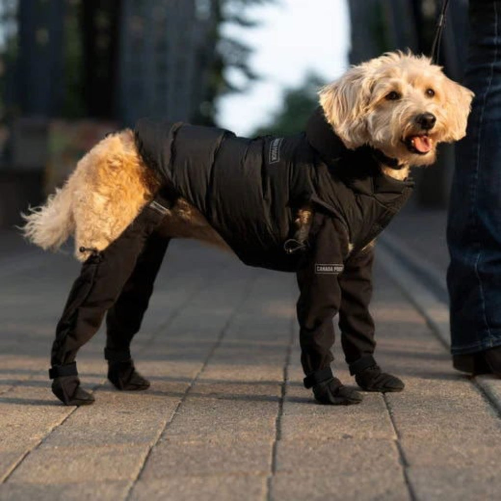 Stivali per Cani Durevoli