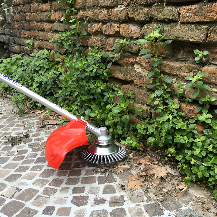 Spazzola e Trimmer in Acciaio Carbonio (Solo Spazzola)