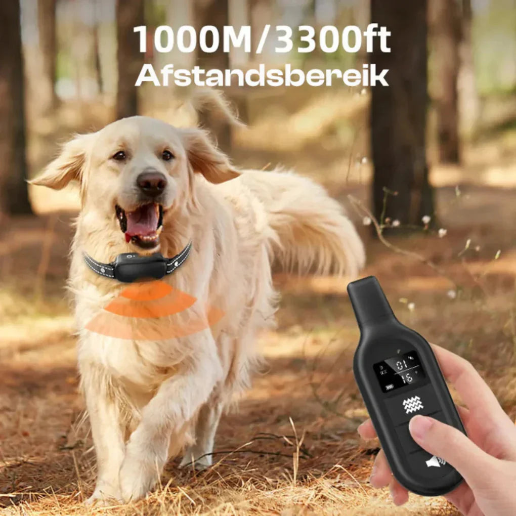 Collare per Allenamento Cane Elettrico con Telecomando