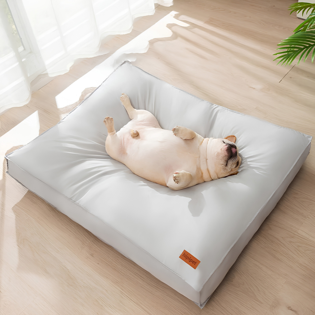Cuscino Ortopedico Impermeabile per Cani