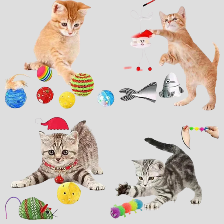 Calendario Avvento Giocattolo per Gatti Kit Interattivo 24 Giorni