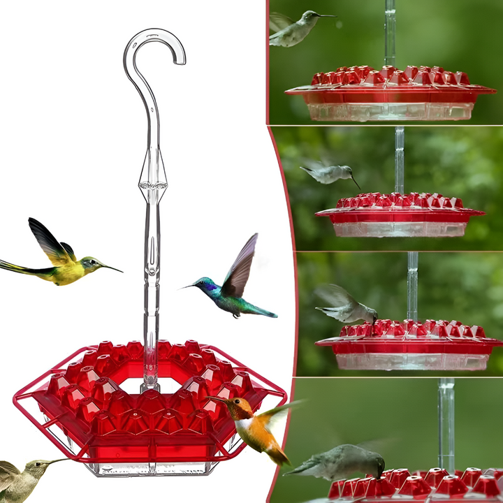 Nutriente per Colibrì a Prova di Formiche