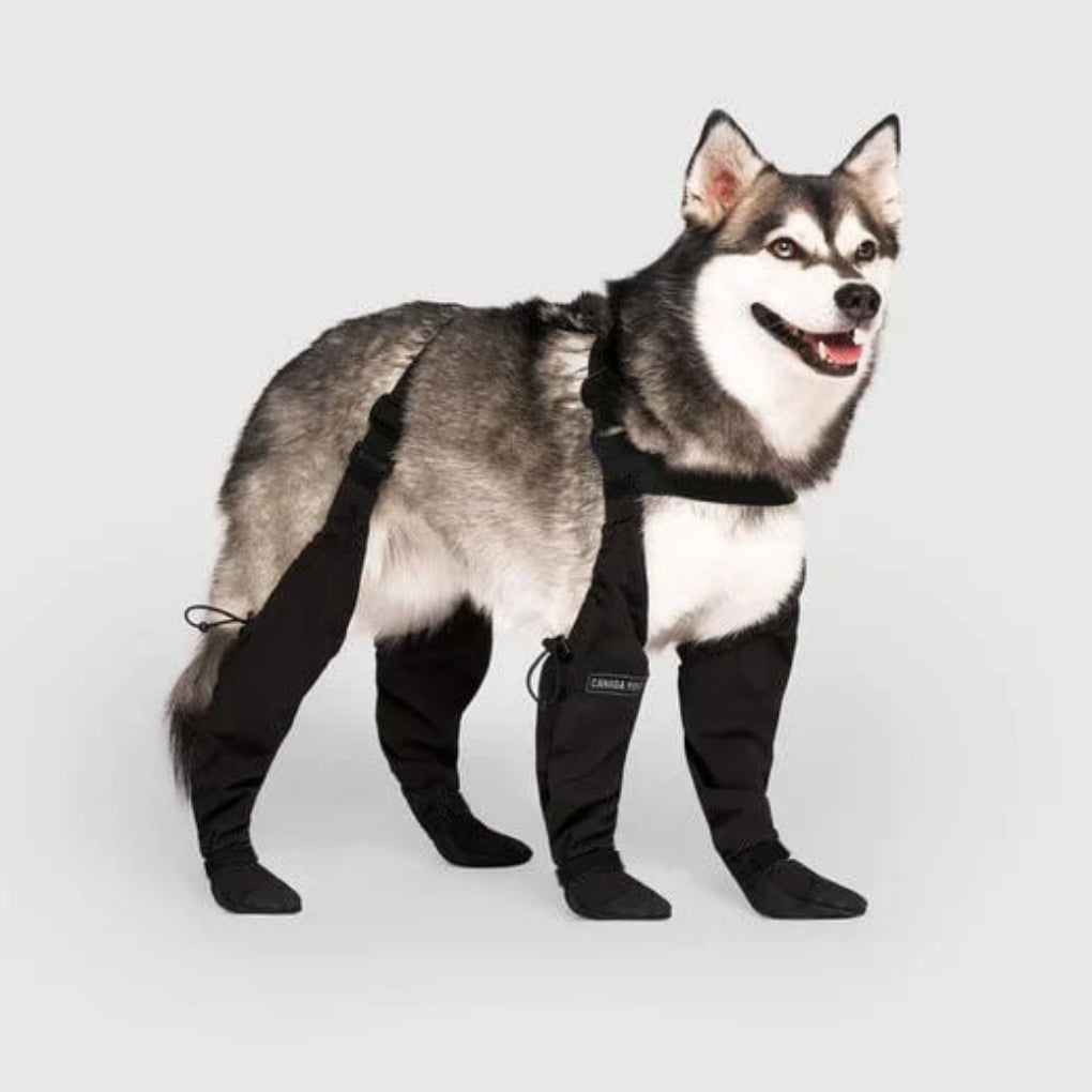 Stivali per Cani Durevoli