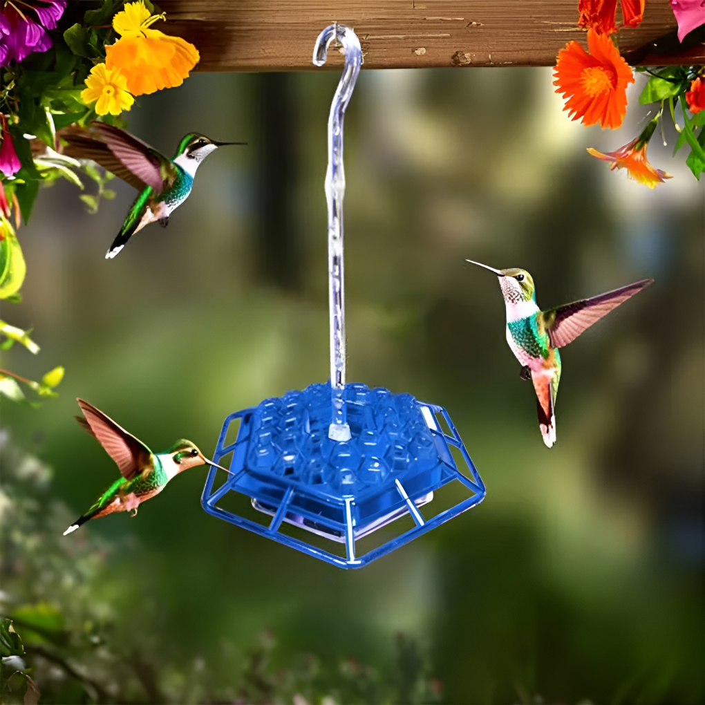 Nutriente per Colibrì a Prova di Formiche