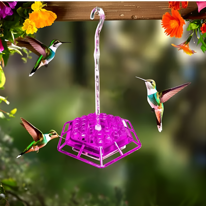 Nutriente per Colibrì a Prova di Formiche