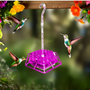 Nutriente per Colibrì a Prova di Formiche