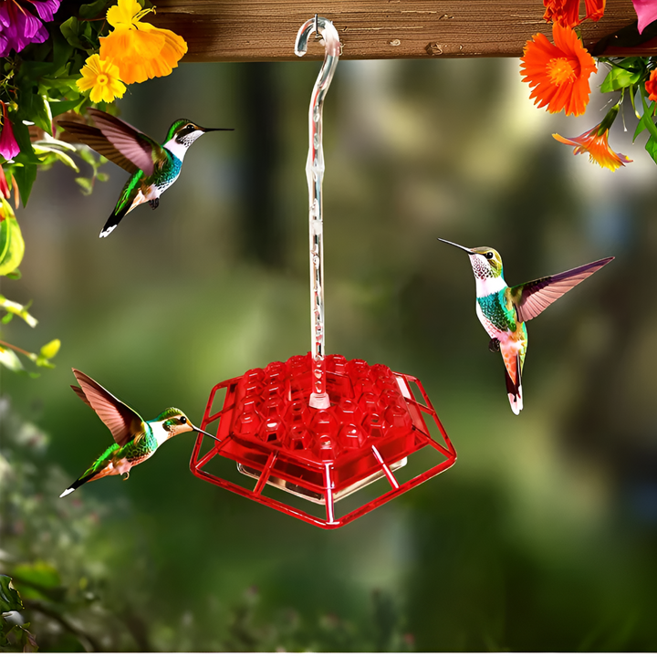 Nutriente per Colibrì a Prova di Formiche