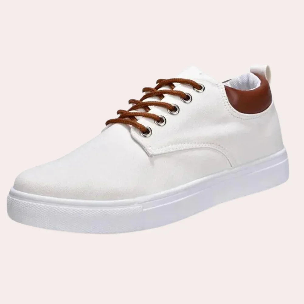 Scarpe da uomo per la primavera