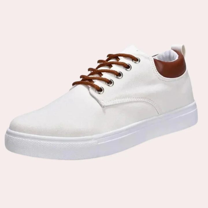 Scarpe da uomo per la primavera