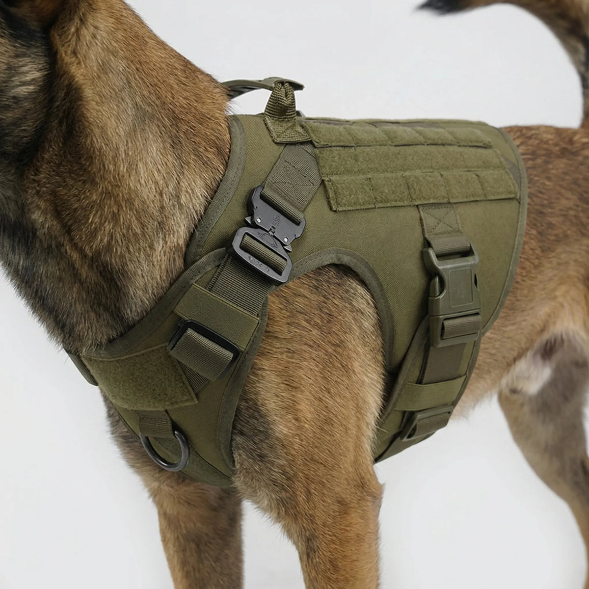 Pettorina tattica per cani regolabile con aggancio anteriore antitrazione