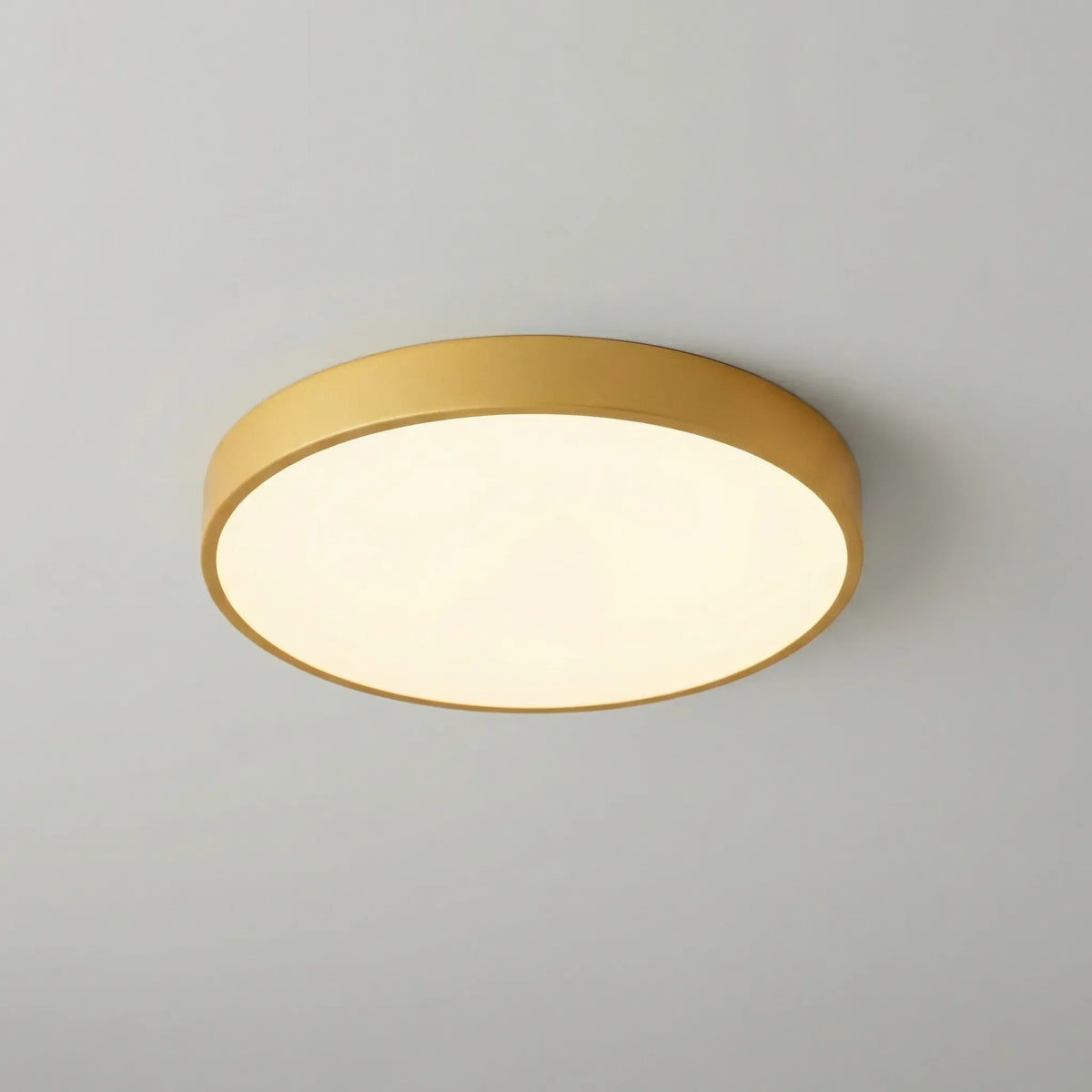 Luce a Soffitto LED Rotonda Montaggio Flush