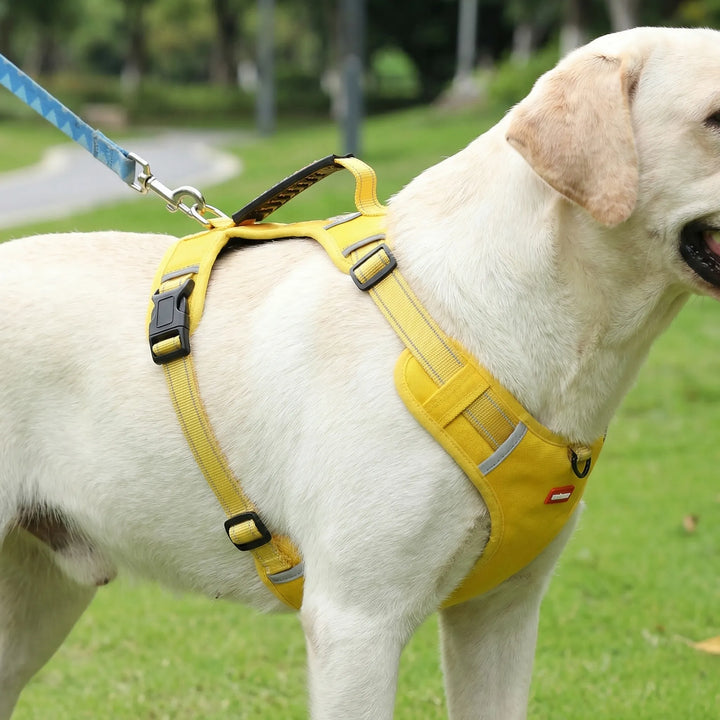 Pawltra - Imbracatura pettorale antistrappo regolabile