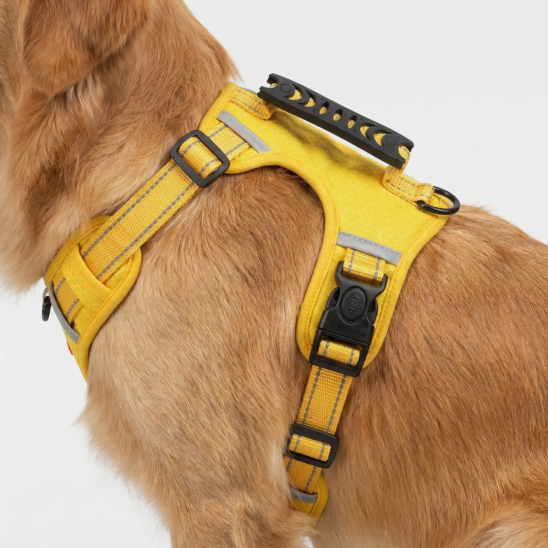 Pawltra - Imbracatura pettorale antistrappo regolabile