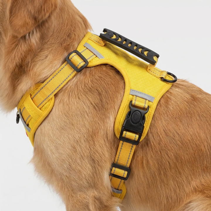 Pawltra - Imbracatura pettorale antistrappo regolabile