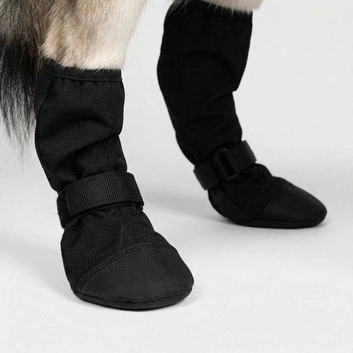 Pawvex - Stivali per cani a copertura totale delle zampe