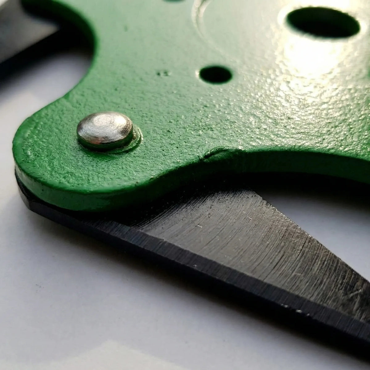Testa per decespugliatore con lama a 6 denti e paracolpi