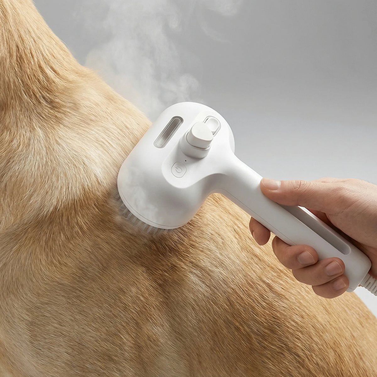 Spazzola Elettrica per Toelettatura del Cane a Vapore