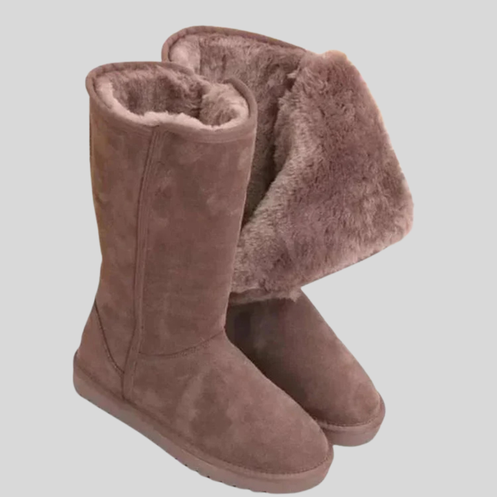 Stivali in Pelle Suede Invernali da Donna