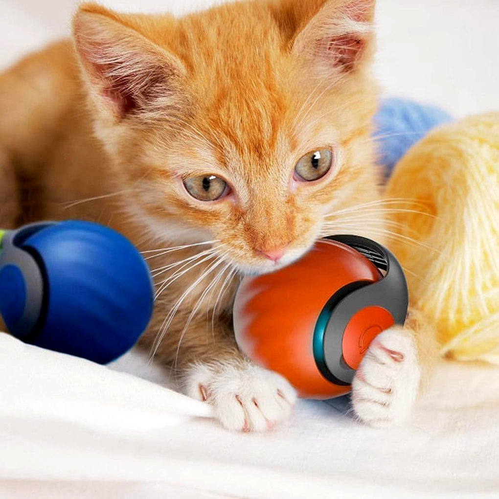 Giocattolo per Gatti Palla Interattiva – Sfera Giocattolo Automatica