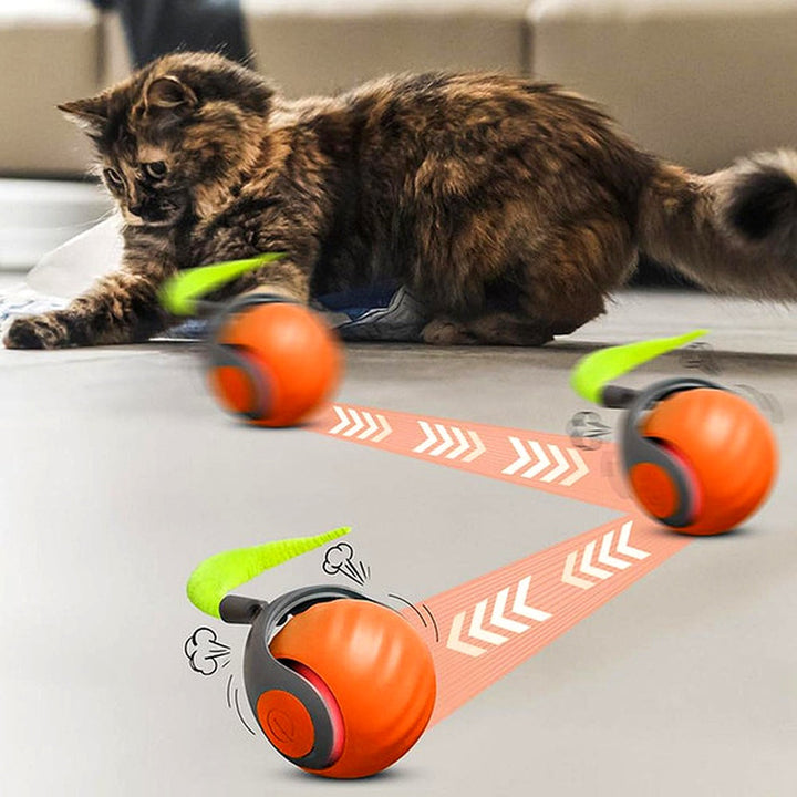Giocattolo per Gatti Palla Interattiva – Sfera Giocattolo Automatica