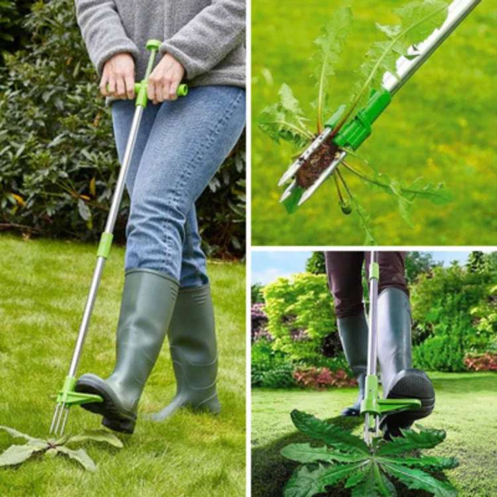 Estirpatore di erbacce ergonomico da 1 metro per giardino