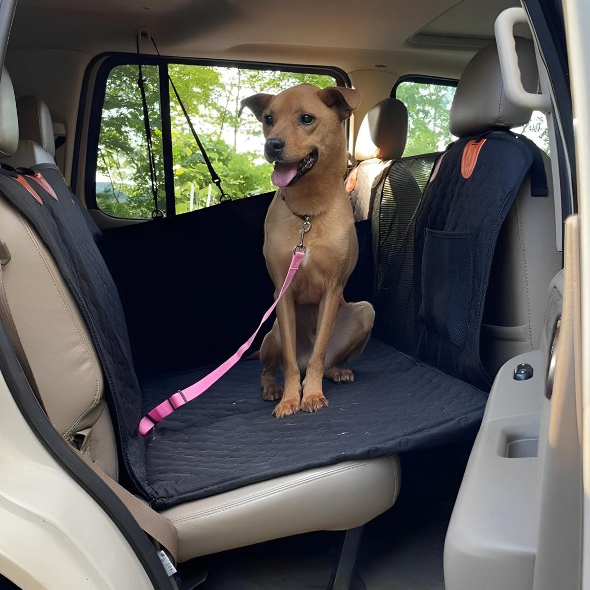 Copertura per Auto per Cani