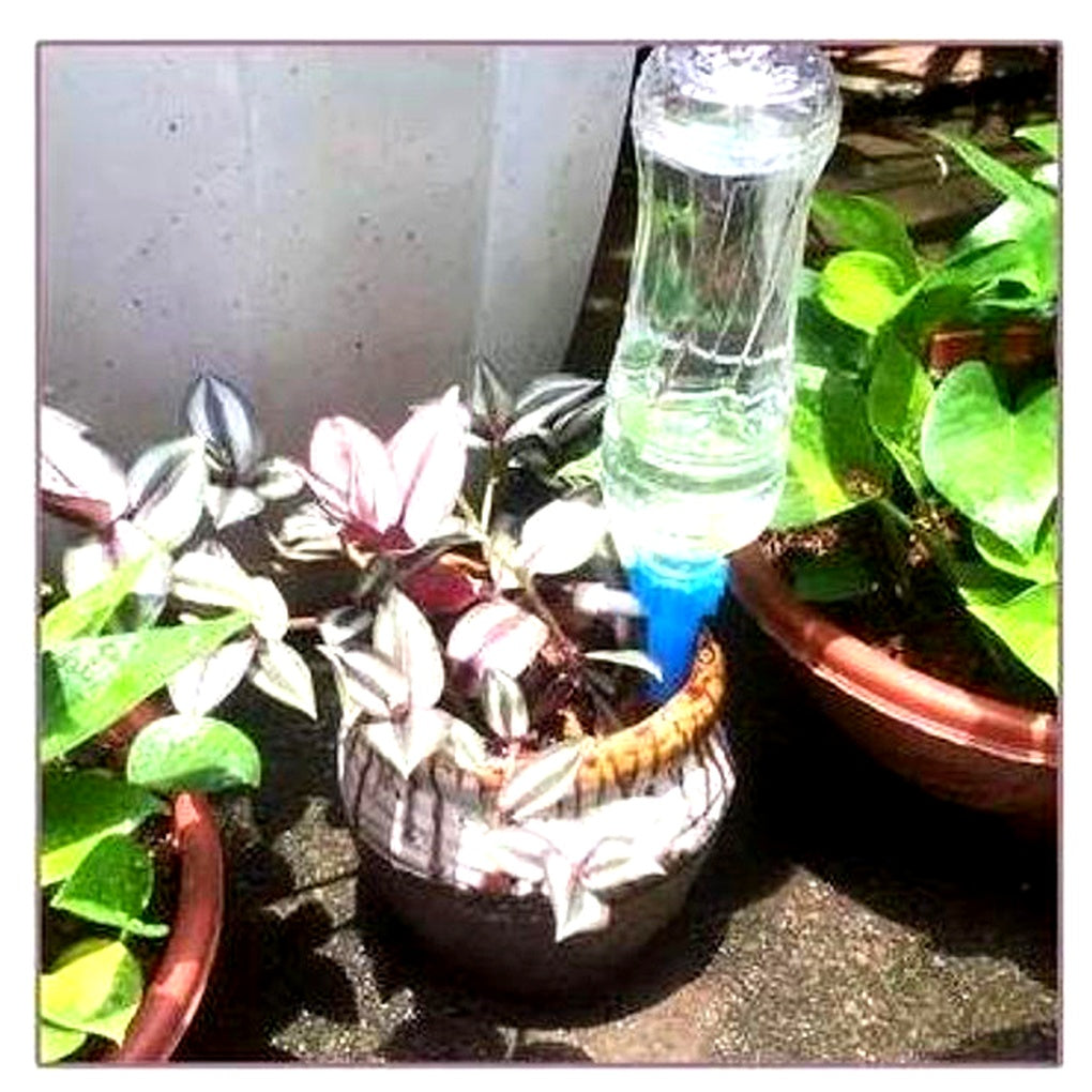 Punta di Innaffiatura Automatica per Piante (Pacco da 12) – Aiuto da Giardino con Flusso Regolabile