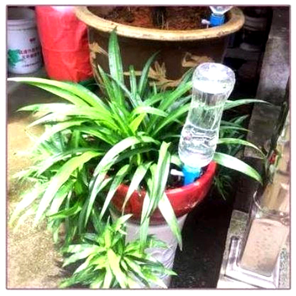 Punta di Innaffiatura Automatica per Piante (Pacco da 12) – Aiuto da Giardino con Flusso Regolabile